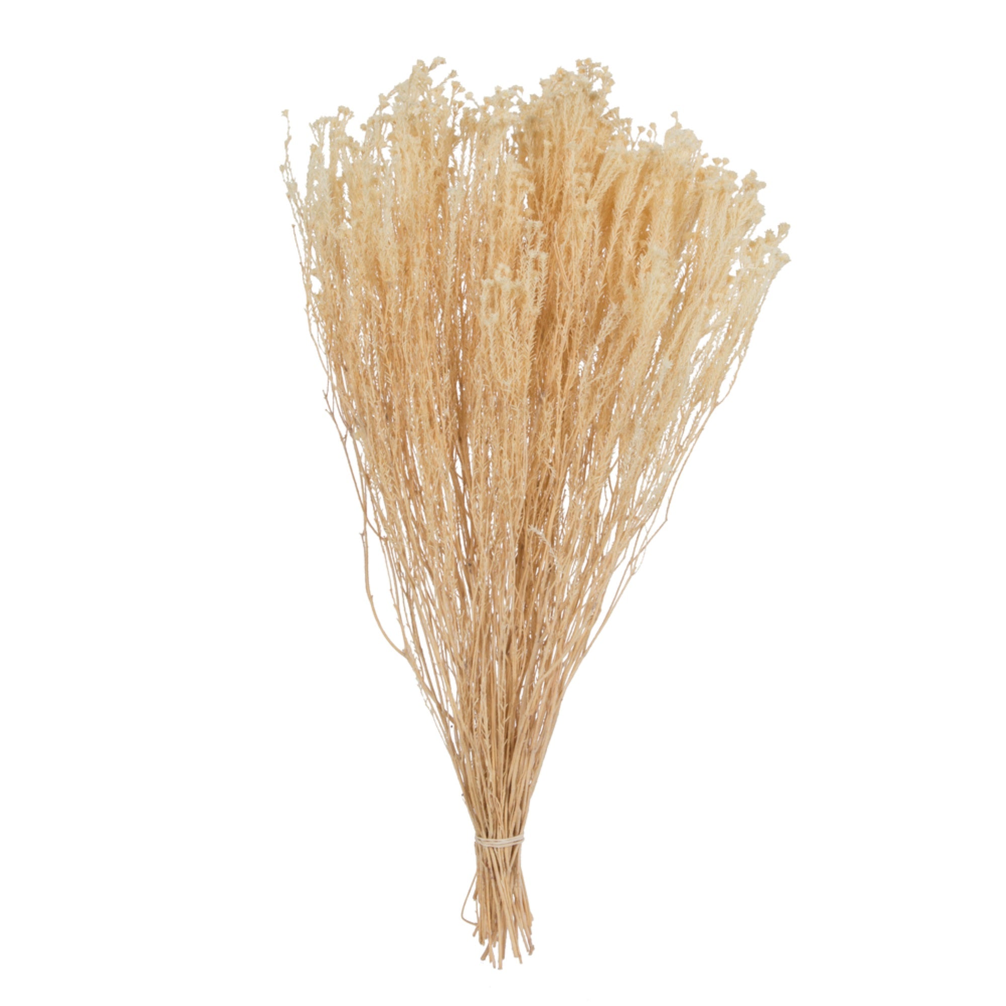19x4 Staavia Bleached 3.5oz Bunch