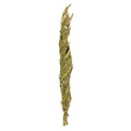 4048 Inch  Twisted Basil Coco Palm 6/Pk