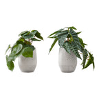 Monarch Specialties I 9582 Artificial Plant, 8' Tall, Alocasia, Indoor, Faux, Fake, Table, Greenery, Potted, Set of 2, Decorative, Green Leaves