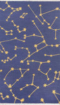 Novogratz Jem Jem1 Navy Stella 79 Inch  X 99 Inch