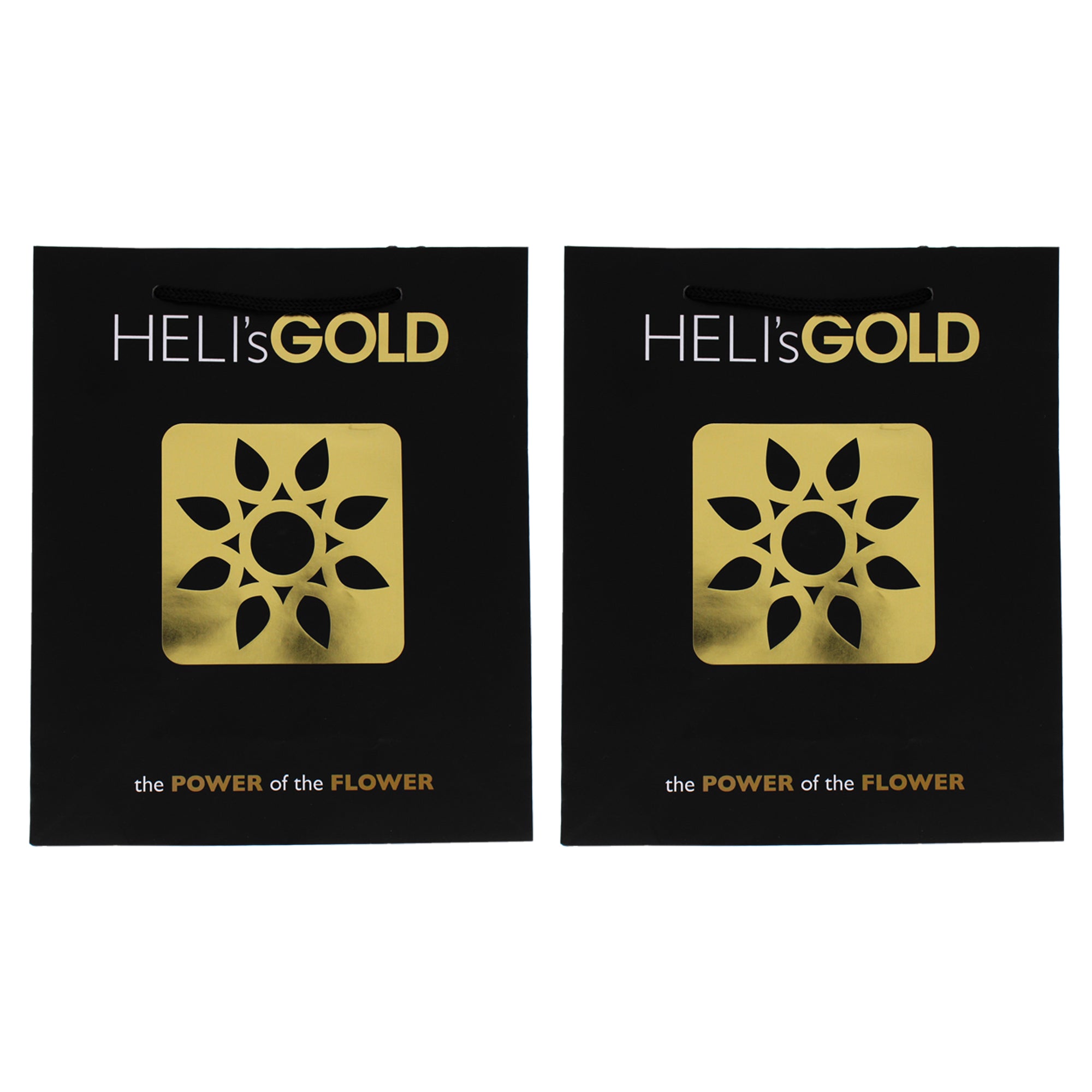 The Power Of The Flower Folder - Large By Helis Gold For Unisex - 1 Pc Folder - Pack Of 2