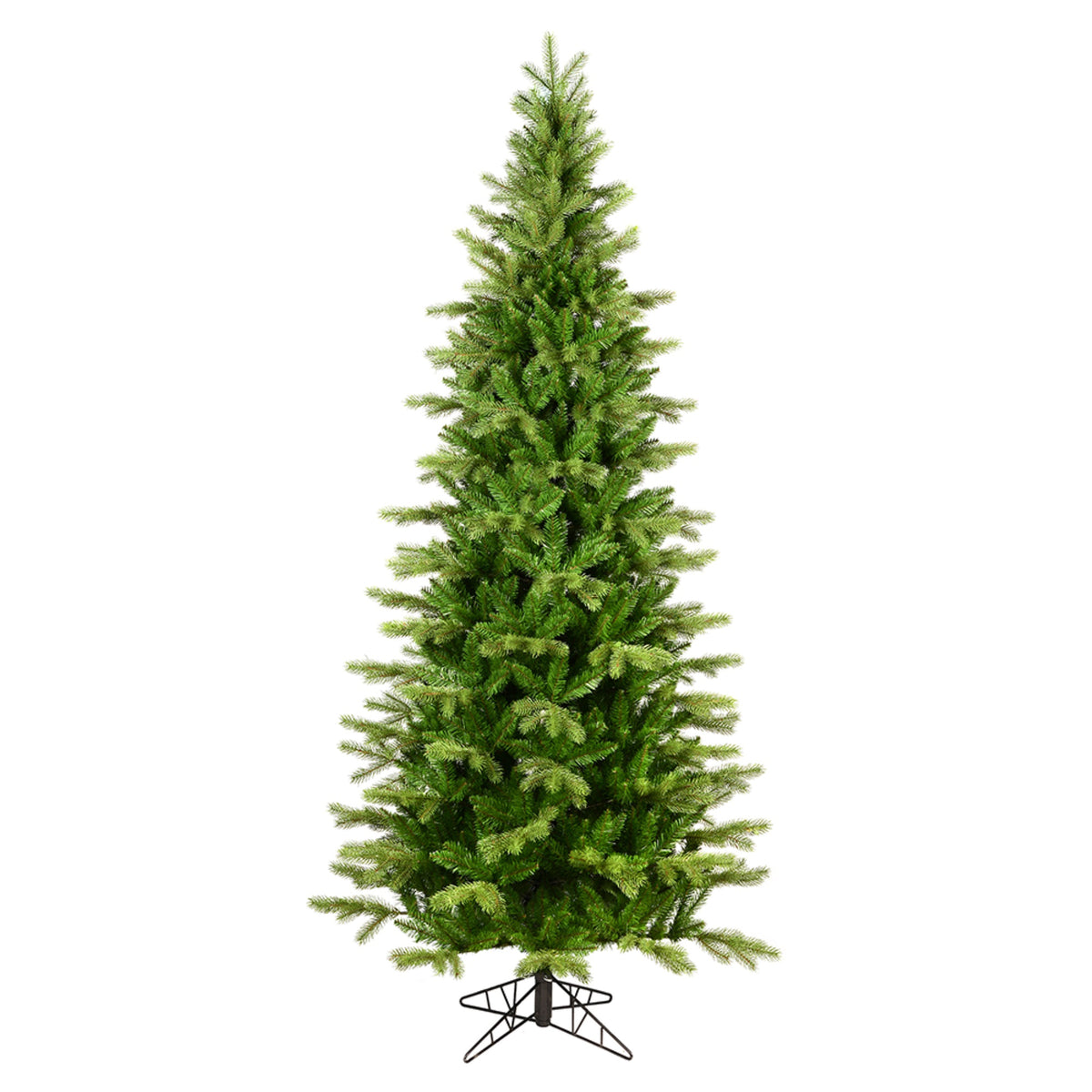 6.5 X 40 Inch  Balsam Spruce Slim 1158T