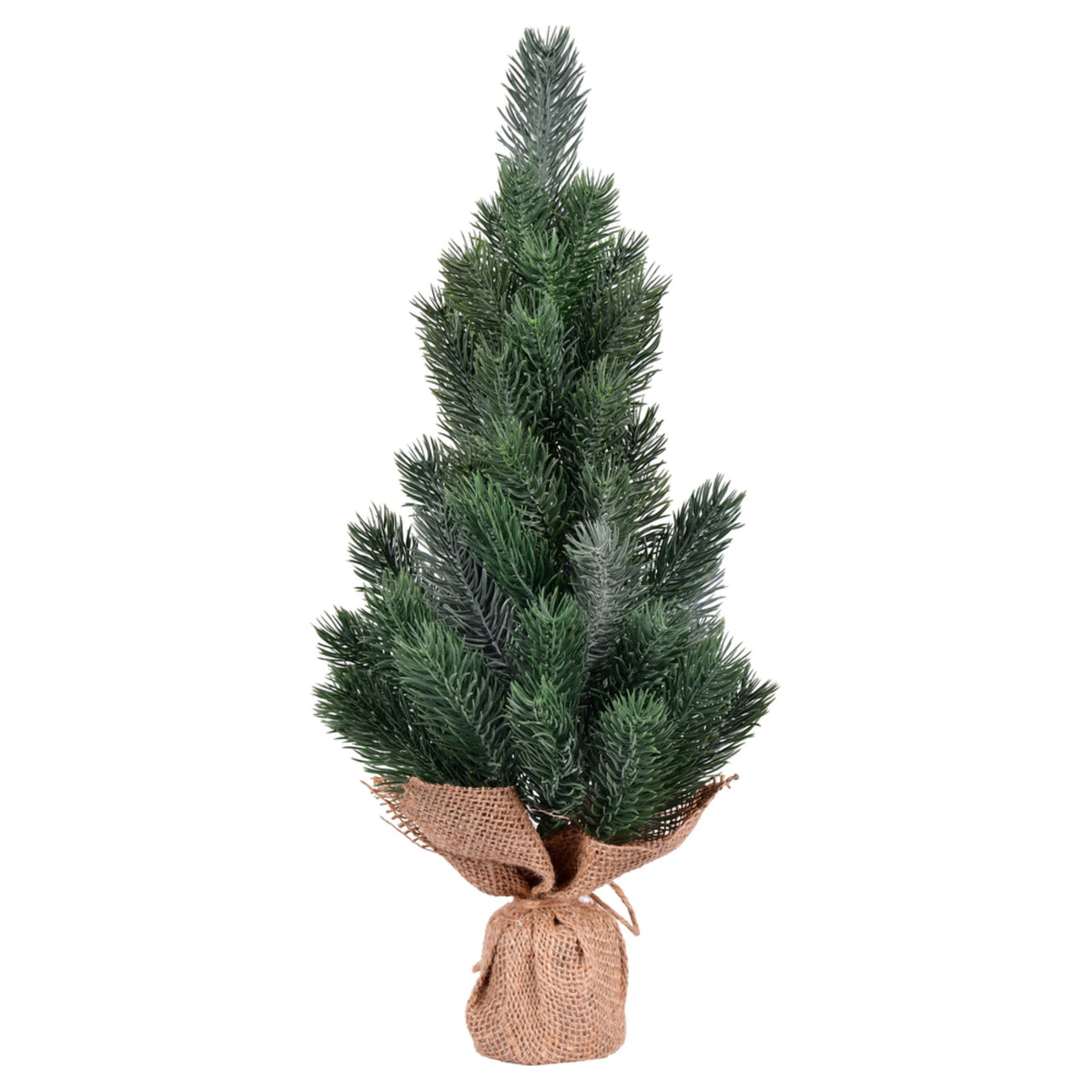 15 Inch  Blue Spruce Sapling Tree Burlap 2Pk