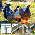10-Ft x 6.5-Ft Outdoor Walk-in Metal Chicken Coop with Water-Resistant Cover