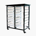 Mobile Bin Storage Unit  Double Row with Large Clear Bins