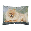 Carolines Treasures MH1055PW1216 Pomeranian Full Body Fabric Decorative Pillow, Large, Multicolor