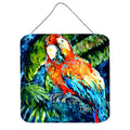 CarolineS Treasures Yo Mama Parrot Wall Or Door Hanging Prints Mw1204Ds66, 6 Inch  Inch  X 6 Inch  Inch , Multicolor