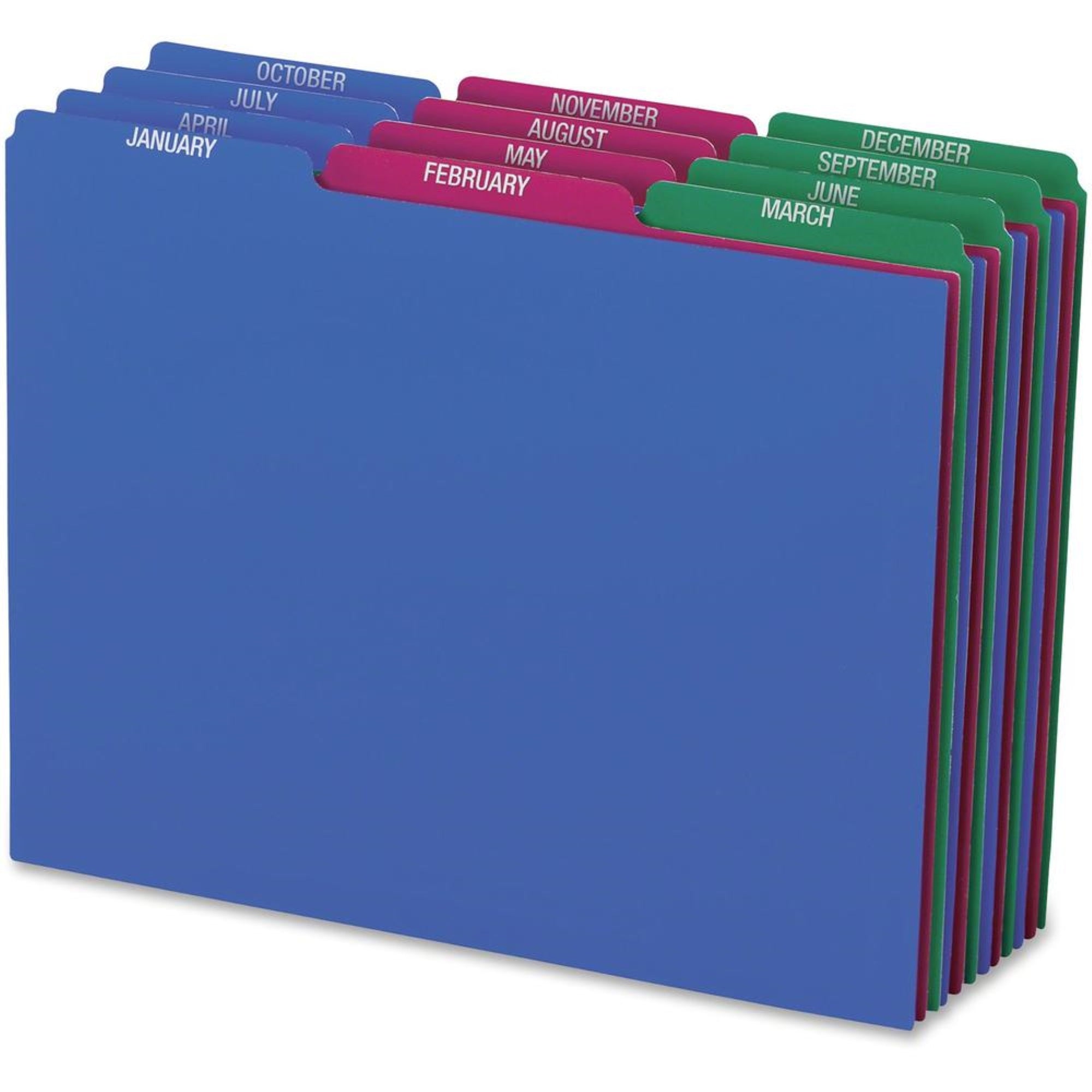 Pendaflex Poly File Guide Sets - Printed Tab(S) - Month - January-December - 8.5 Divider Width X 11 Divider Length - Letter - As