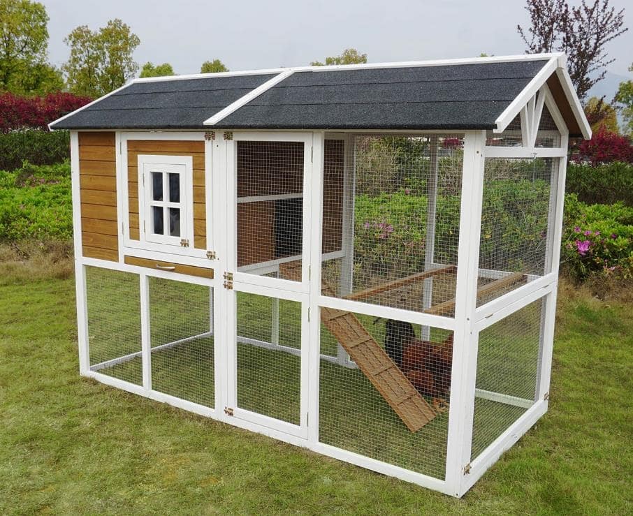 Farmstead Chicken Coop