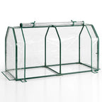 Portable Mini Greenhouse with PE Cover and Roll-Up Door