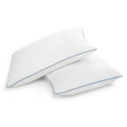 Set of 2 Queen size Memory Foam Pillow with Removable Machine Washable Cover