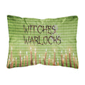 'Caroline'S Treasures Witches & Warlocks Halloween Canvas Fabric Decorative Pillow, Large, Multicolor'