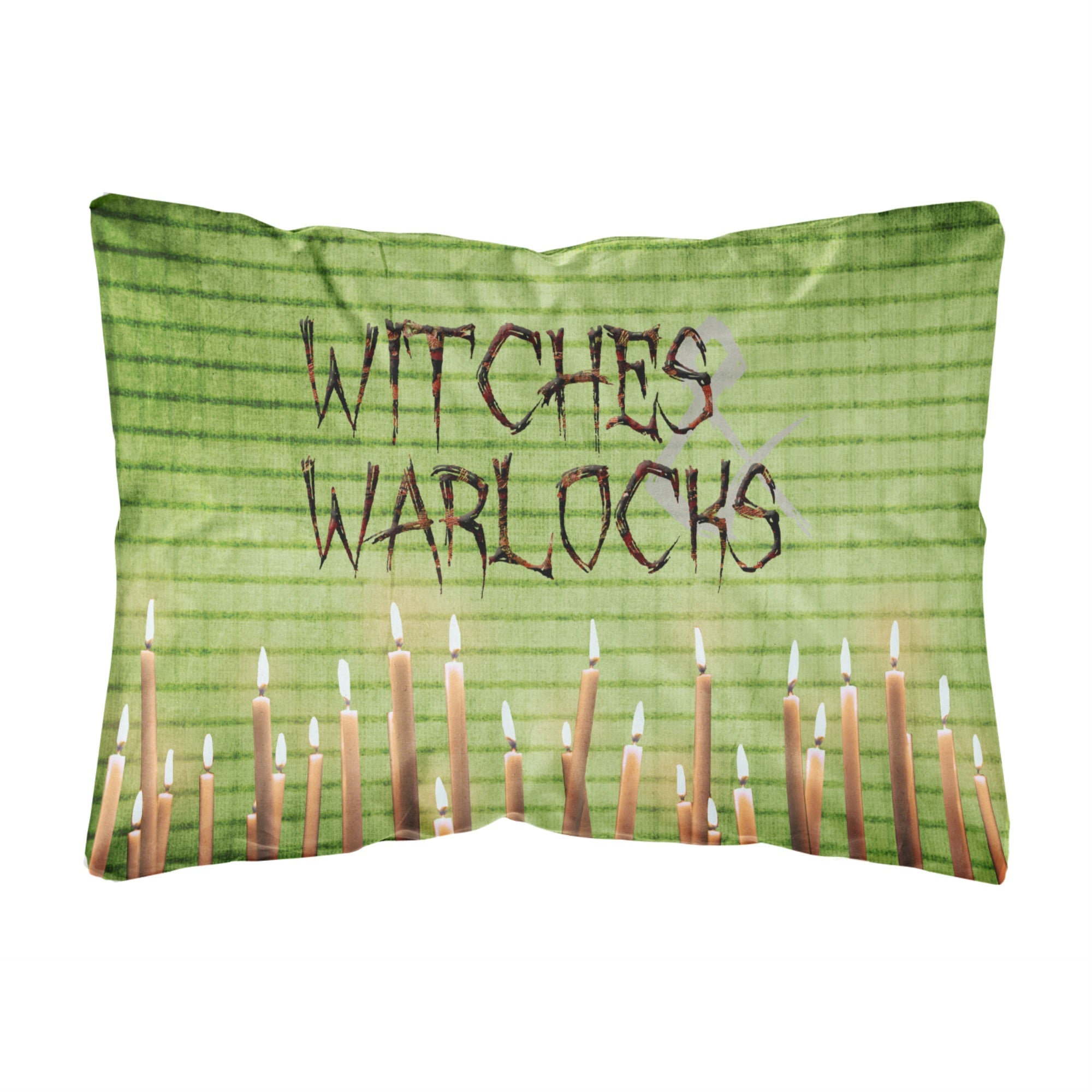 'Caroline'S Treasures Witches & Warlocks Halloween Canvas Fabric Decorative Pillow, Large, Multicolor'