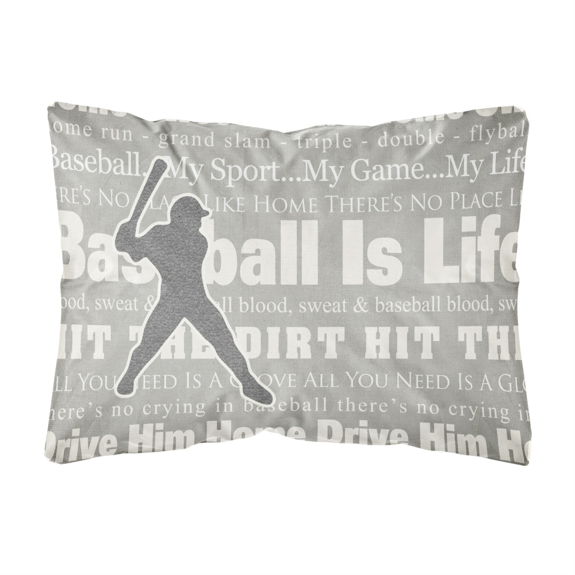 'Caroline'S Treasures Sb3078Pw1216 Baseball Is Life Canvas Fabric Decorative Pillow, Large, Multicolor'