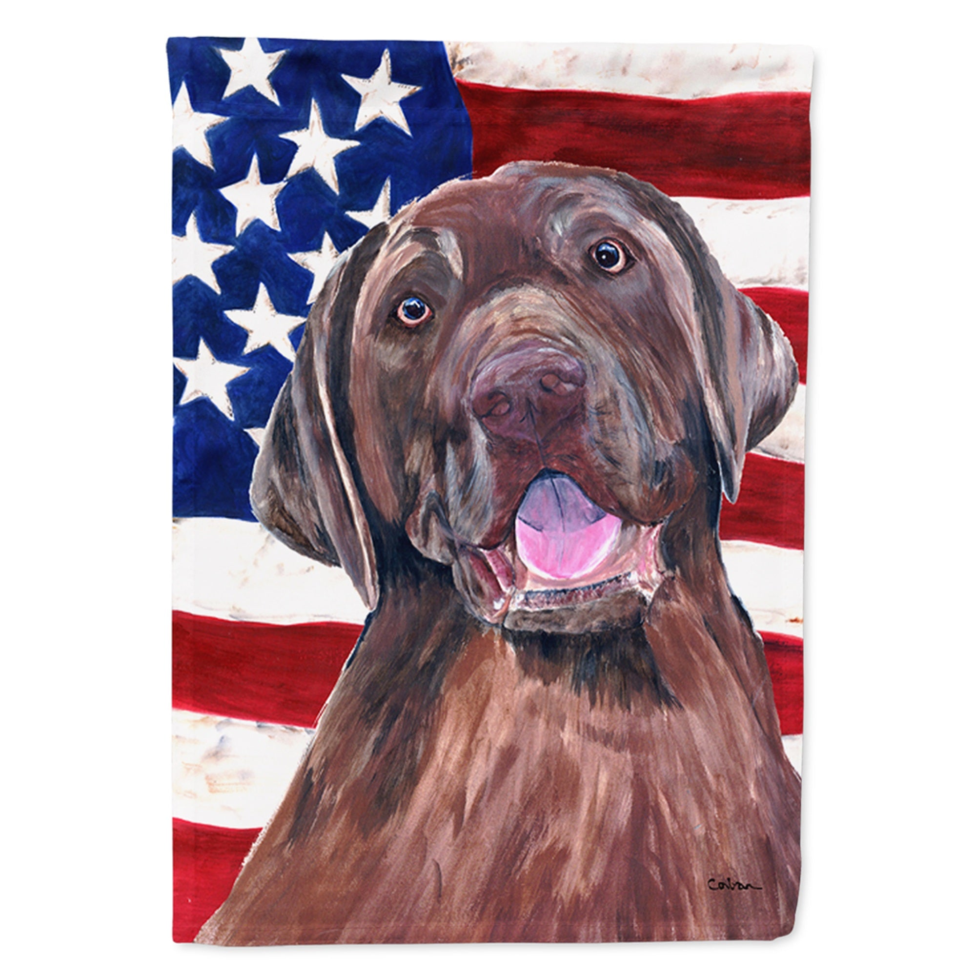 'Caroline'S Treasures Sc9029Gf Usa American Flag With Labrador Flag, Small, Multicolor'