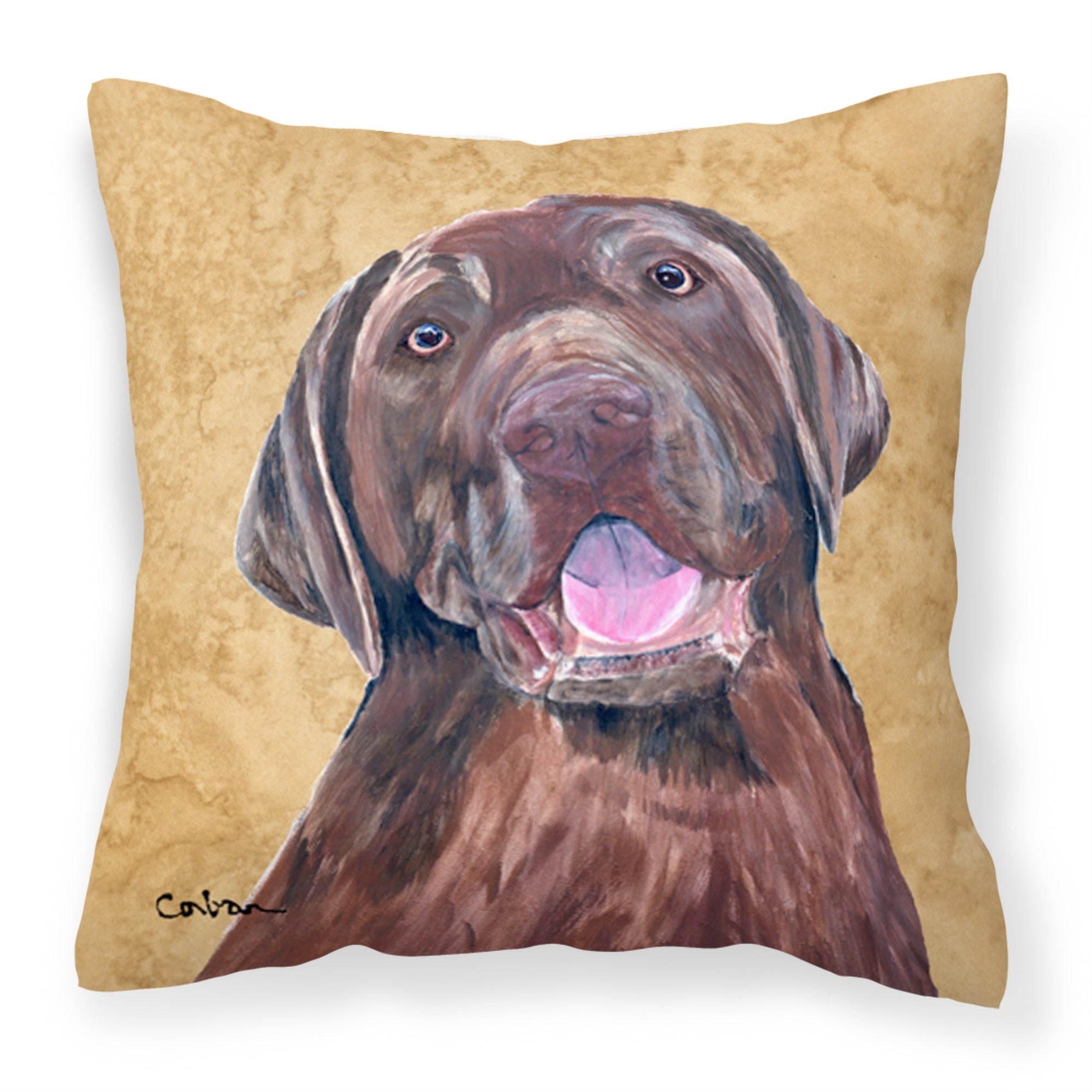 'Caroline'S Treasures Sc9127Pw1414 Labrador Decorative Canvas Fabric Pillow, Large, Multicolor'