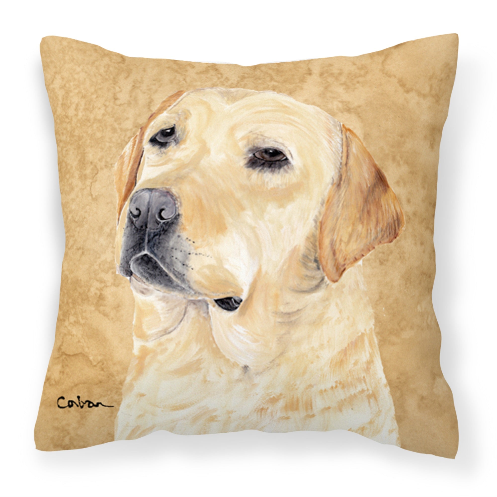 'Caroline'S Treasures Sc9133Pw1414 Labrador Decorative Canvas Fabric Pillow, Large, Multicolor'