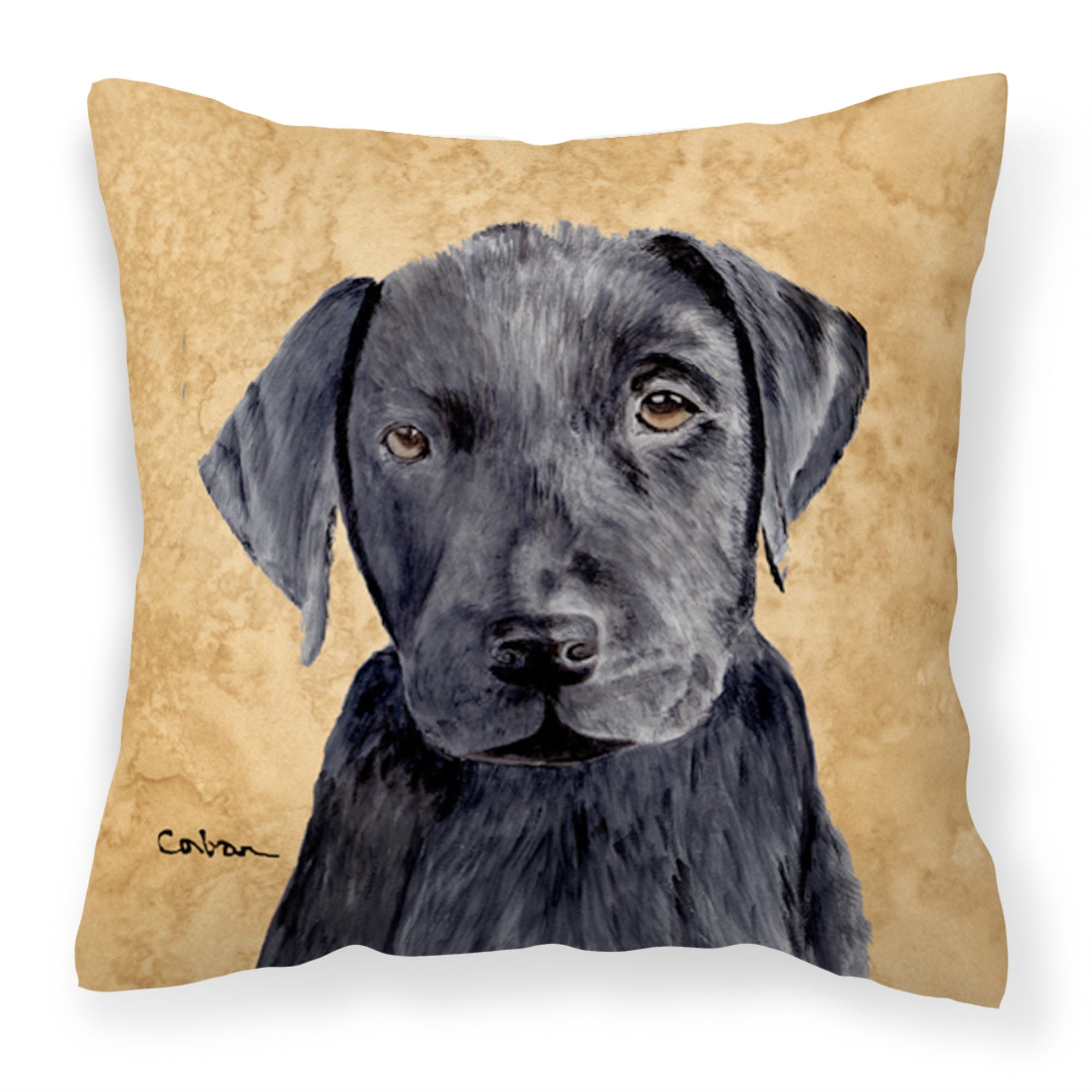 'Caroline'S Treasures Sc9136Pw1414 Labrador Decorative Canvas Fabric Pillow, Large, Multicolor'