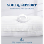 Set of 2 Machine Washable Down Alternative Bed Pillow with Cotton Cover - Queen