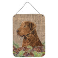 CarolineS Treasures Ss4108Ds1216 Curly Coated Retriever Aluminium Metal Wall Or Door Hanging Prints, 16 Inch  Inch  X 12 Inch  Inch , Multicolor