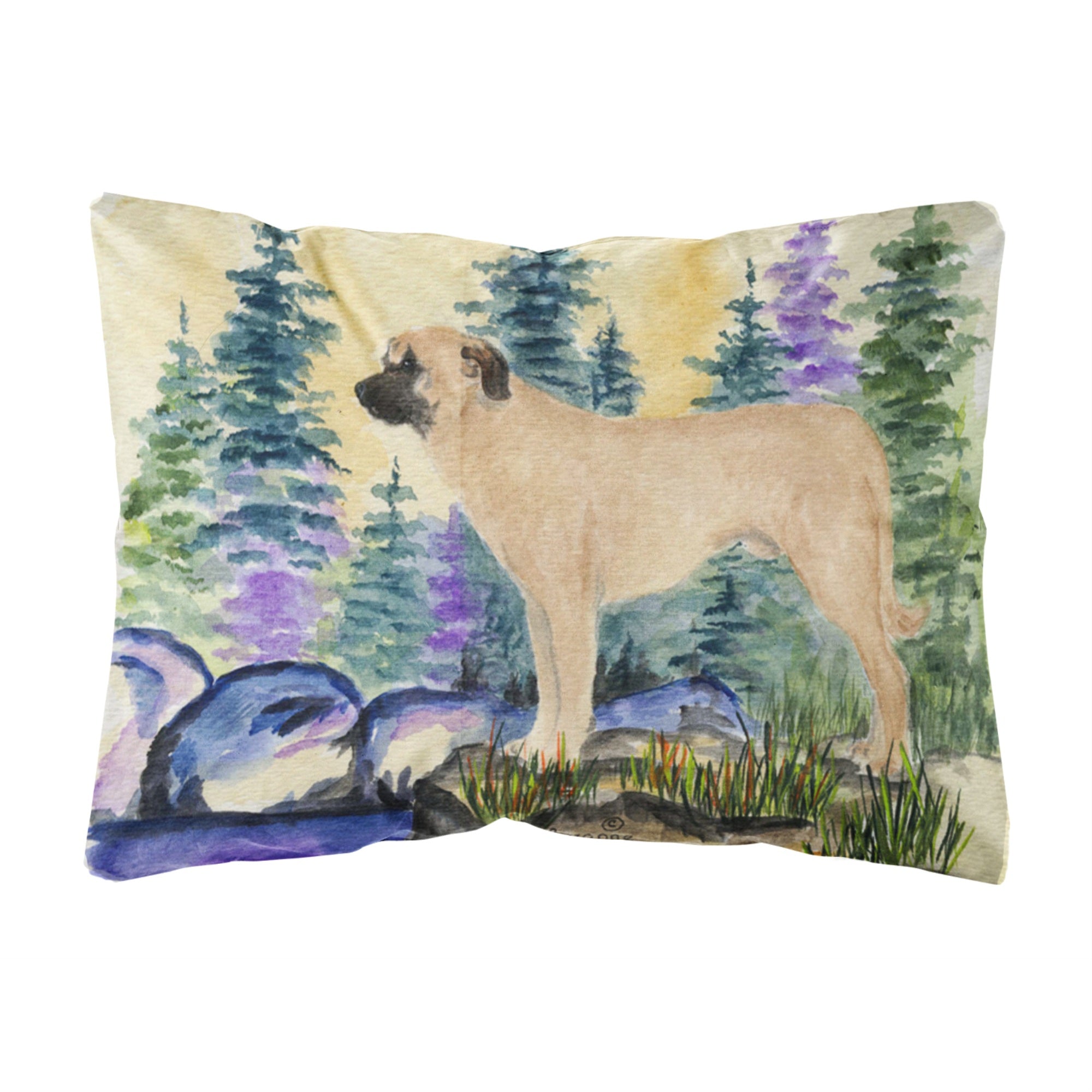 'Caroline'S Treasures Ss8012Pw1216 Anatolian Shepherd Decorative Canvas Fabric Pillow, Large, Multicolor'