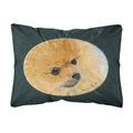 'Caroline'S Treasures Ss8051Pw1216 Pomeranian Decorative Canvas Fabric Pillow, Large, Multicolor'