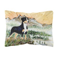 'Caroline'S Treasures Ss8119Pw1216 Entlebucher Mountain Dog Decorative Canvas Fabric Pillow, Large, Multicolor'