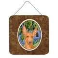 CarolineS Treasures Pharaoh Hound Aluminum Metal Wall Or Door Hanging Prints, 6 X 6 Inch  Inch , Multicolor