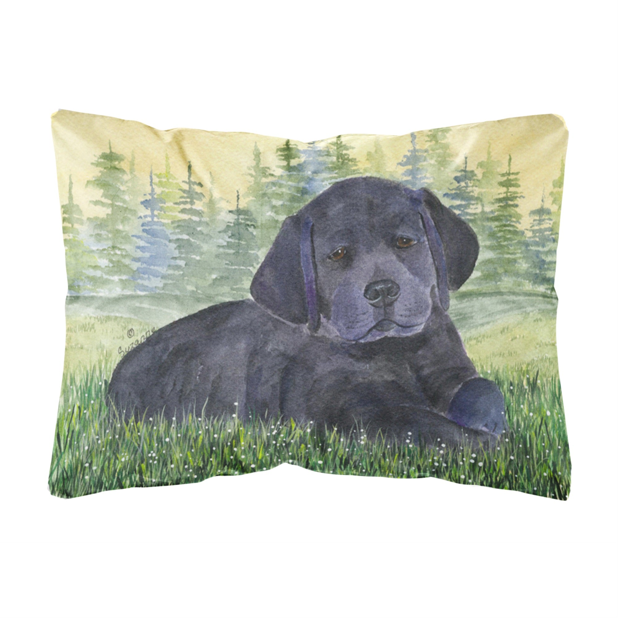 'Caroline'S Treasures Ss8343Pw1216 Labrador Decorative Canvas Fabric Pillow, Large, Multicolor'