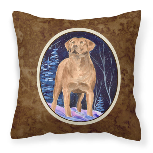 'Caroline'S Treasures Ss8355Pw1414 Starry Night Chesapeake Bay Retriever Fabric Pillow, Large, Multicolor'