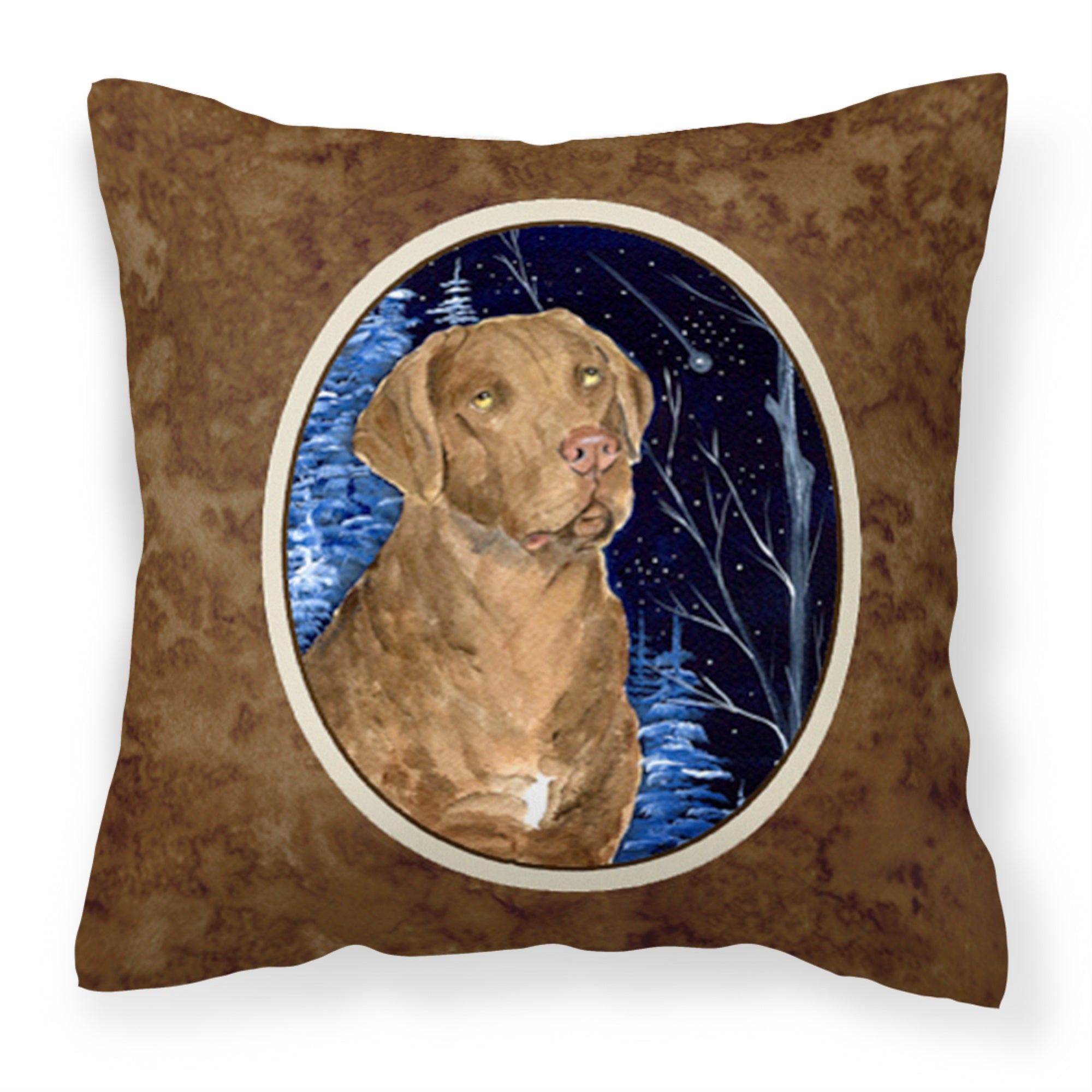 'Caroline'S Treasures Ss8384Pw1414 Starry Night Chesapeake Bay Retriever Fabric Pillow, Large, Multicolor'