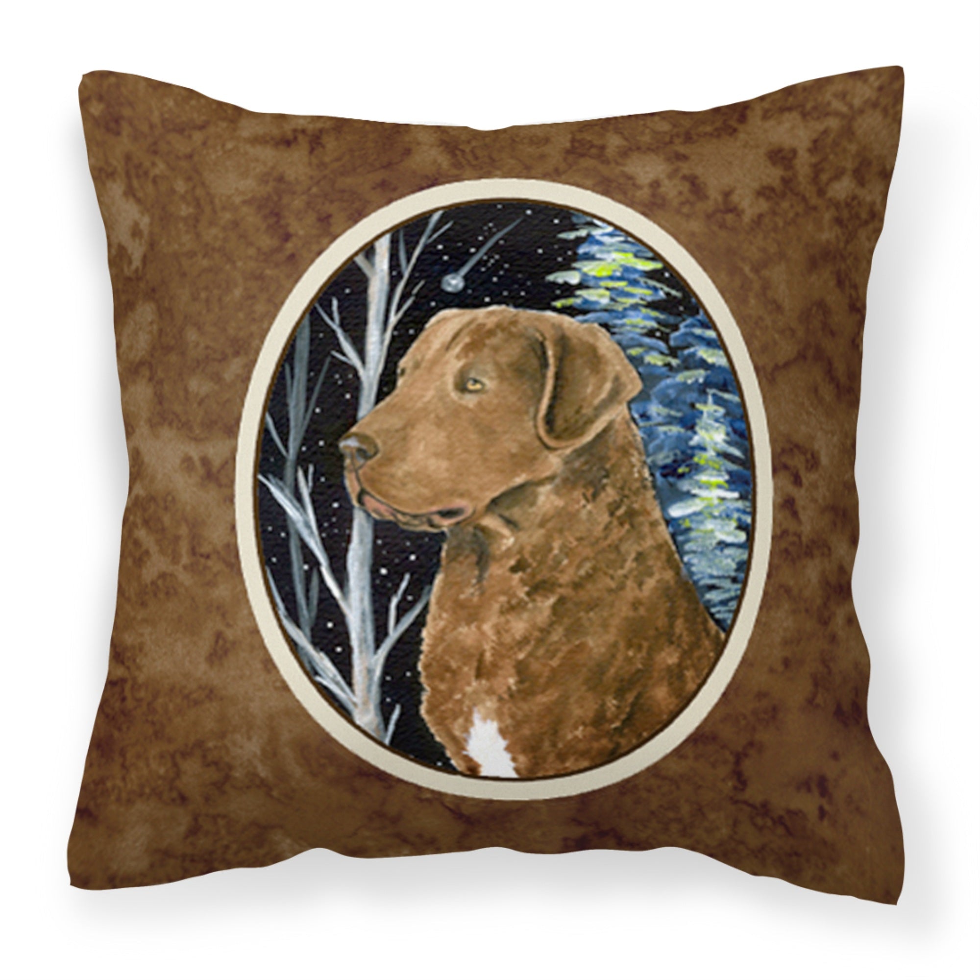 'Caroline'S Treasures Ss8411Pw1414 Starry Night Chesapeake Bay Retriever Fabric Pillow, Large, Multicolor'