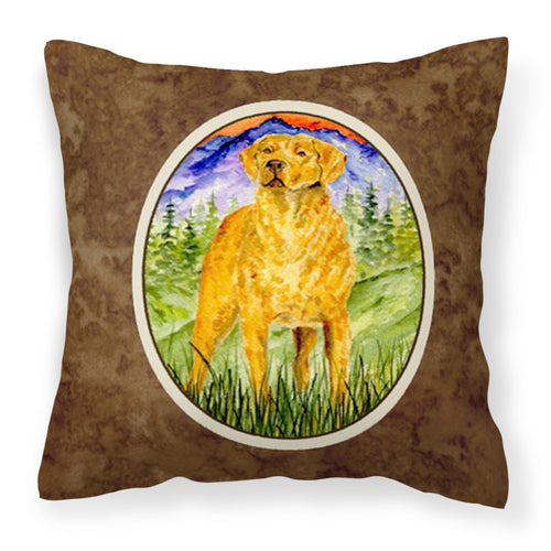 'Caroline'S Treasures Ss8449Pw1414 Chesapeake Bay Retriever Decorative Canvas Fabric Pillow, Large, Multicolor'