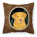 'Caroline'S Treasures Ss8487Pw1414 Starry Night Chesapeake Bay Retriever Fabric Pillow, Large, Multicolor'