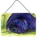 CarolineS Treasures Ss8520Ds812 Briard Indoor Aluminum Metal Wall Or Door Hanging Prints, 8 X 12 Inch  Inch , Multicolor