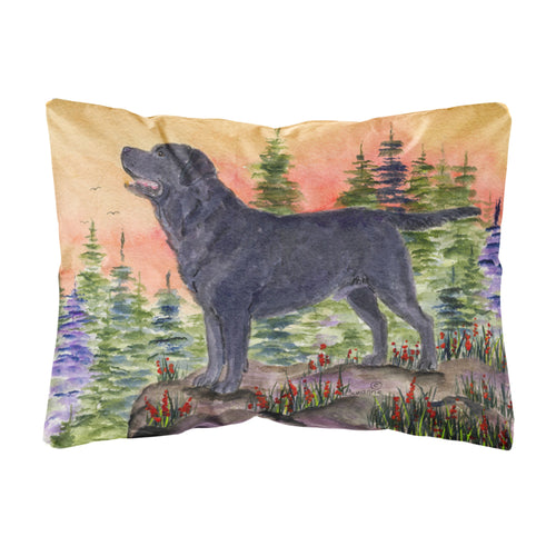 'Caroline'S Treasures Ss8624Pw1216 Labrador Decorative Canvas Fabric Pillow, Large, Multicolor'