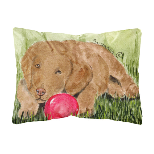 'Caroline'S Treasures Ss8684Pw1216 Curly Coated Retriever Decorative Canvas Fabric Pillow, Large, Multicolor'