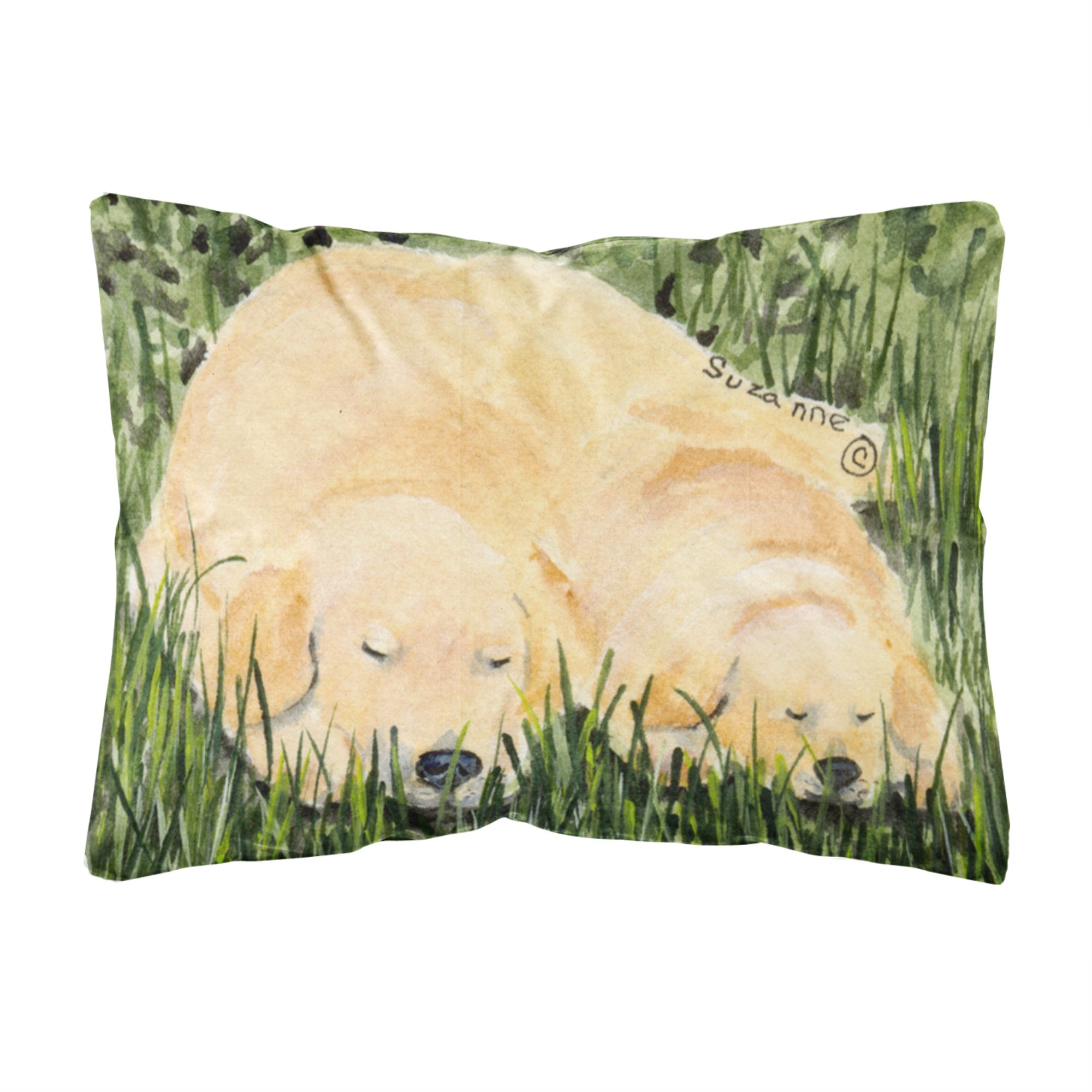 'Caroline'S Treasures Ss8838Pw1216 Golden Retriever Decorative Canvas Fabric Pillow, Large, Multicolor'