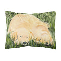 'Caroline'S Treasures Ss8838Pw1216 Golden Retriever Decorative Canvas Fabric Pillow, Large, Multicolor'
