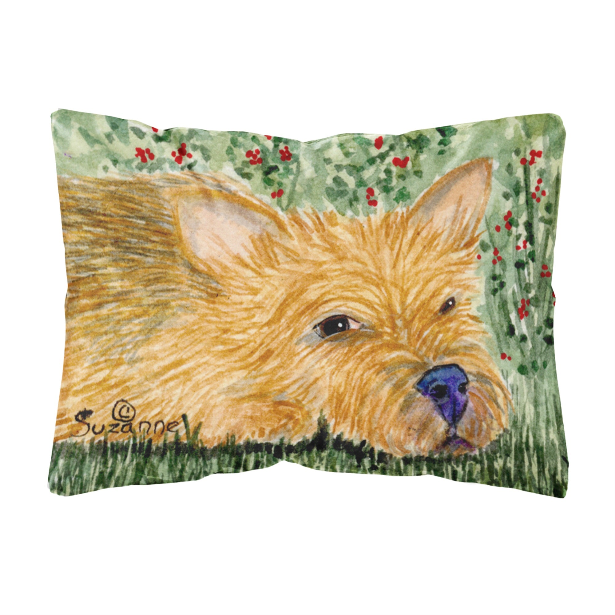 'Caroline'S Treasures Ss8862Pw1216 Norwich Terrier Decorative Canvas Fabric Pillow, Large, Multicolor'
