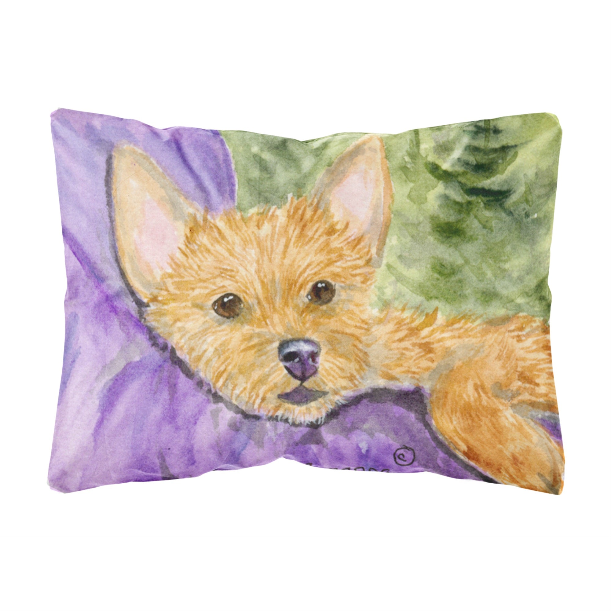 'Caroline'S Treasures Ss8898Pw1216 Norwich Terrier Decorative Canvas Fabric Pillow, Large, Multicolor'