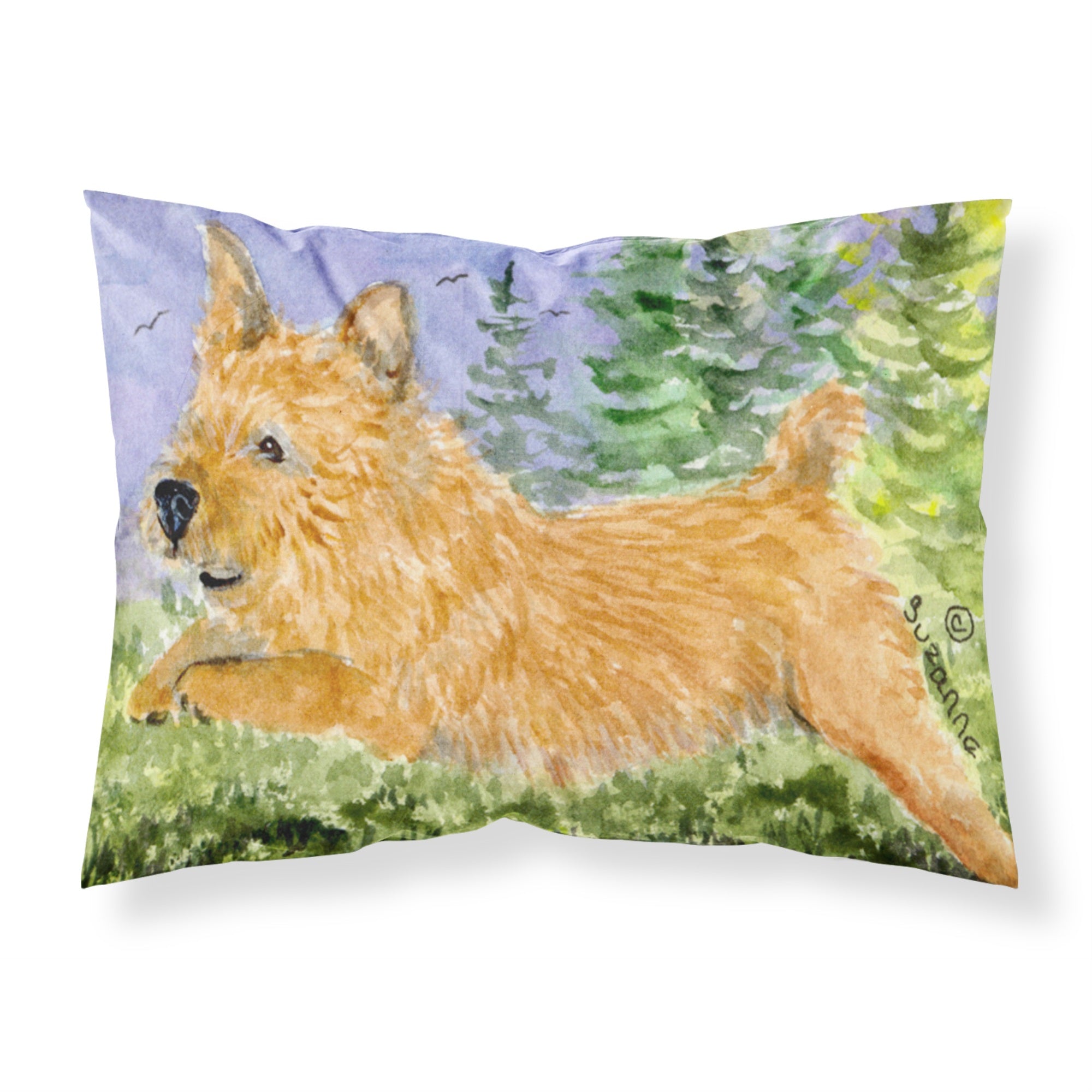 'Caroline'S Treasures Ss8910Pillowcase Norwich Terrier Moisture Wicking Fabric Standard Pillowcase, Large, Multicolor'
