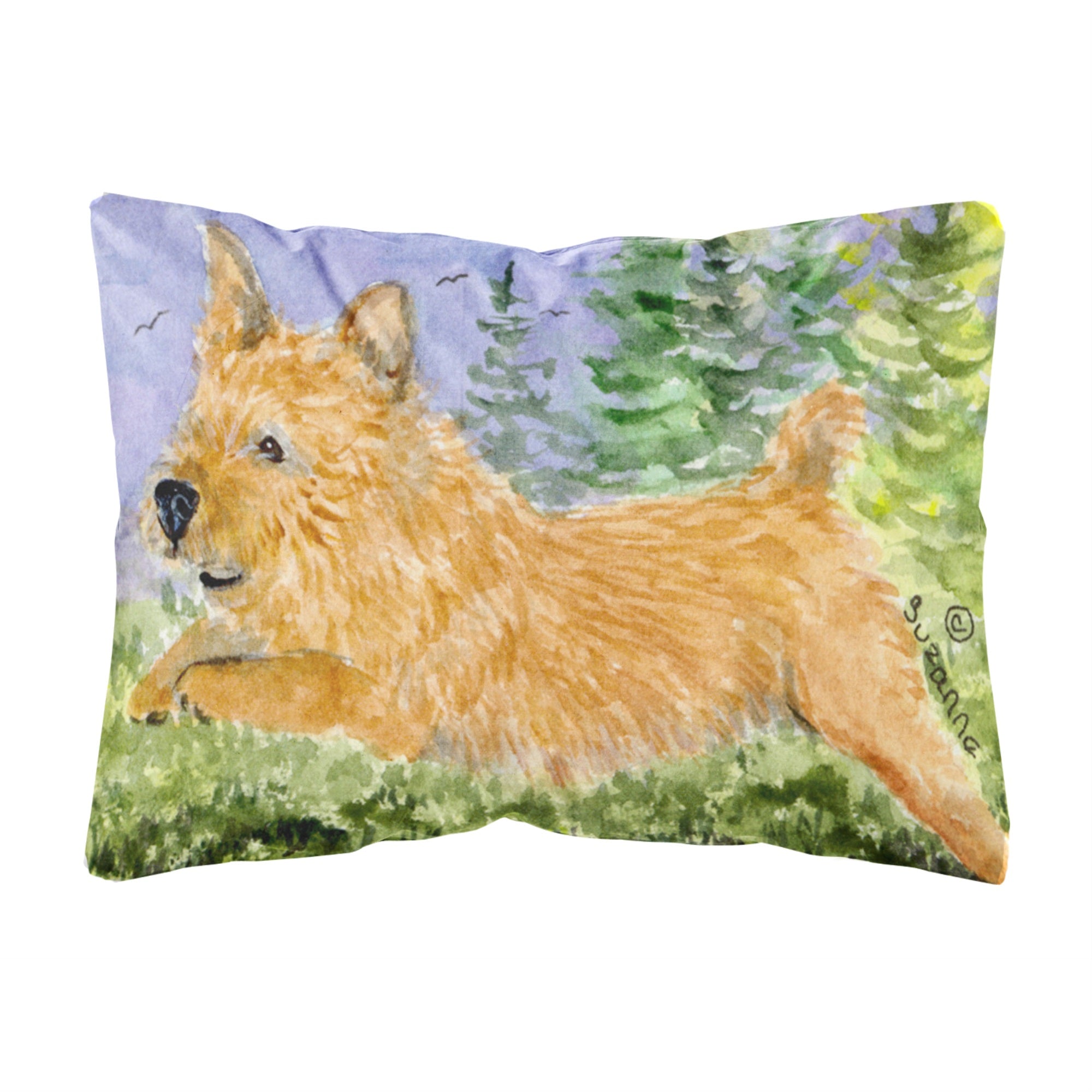 'Caroline'S Treasures Ss8910Pw1216 Norwich Terrier Decorative Canvas Fabric Pillow, Large, Multicolor'