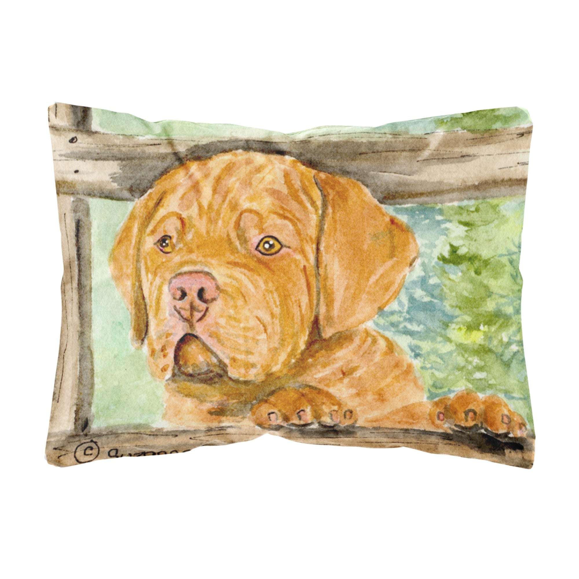 'Caroline'S Treasures Ss8926Pw1216 Dogue De Bordeaux Decorative Canvas Fabric Pillow, Large, Multicolor'