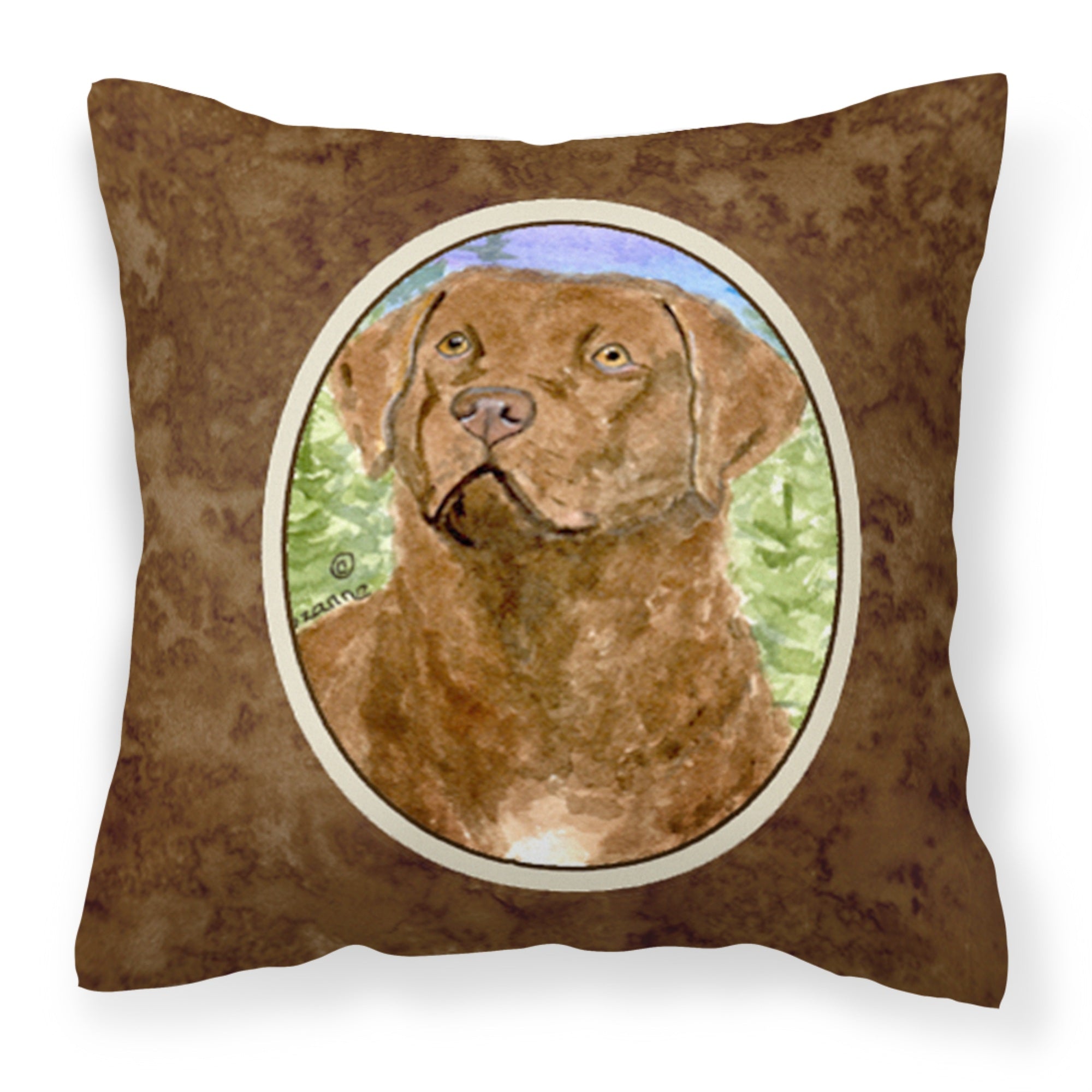 'Caroline'S Treasures Ss8933Pw1414 Chesapeake Bay Retriever Decorative Canvas Fabric Pillow, Large, Multicolor'