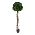 5.5 English Ivy Single Ball Artificial Topiary Tree With Natural Trunk Uv Resistant (Indoor/Outdoor)