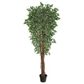 70 Variegated Ficus Artificial Tree Uv Resistant (Indoor/Outdoor)