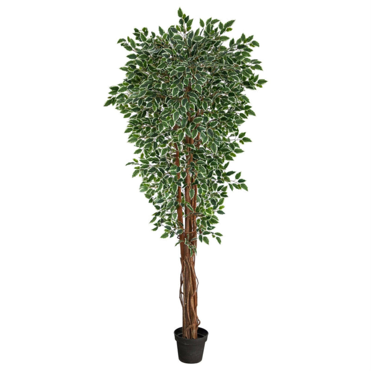 70 Variegated Ficus Artificial Tree Uv Resistant (Indoor/Outdoor)
