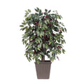 4 Capensia Bush Square Brown Container