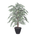 4 Variegated Smilax Bush In Gray Pot